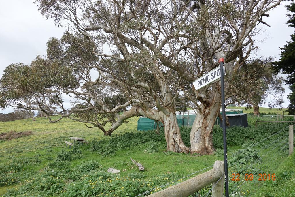 Morella Farmstay Cape Jervis Exteriér fotografie