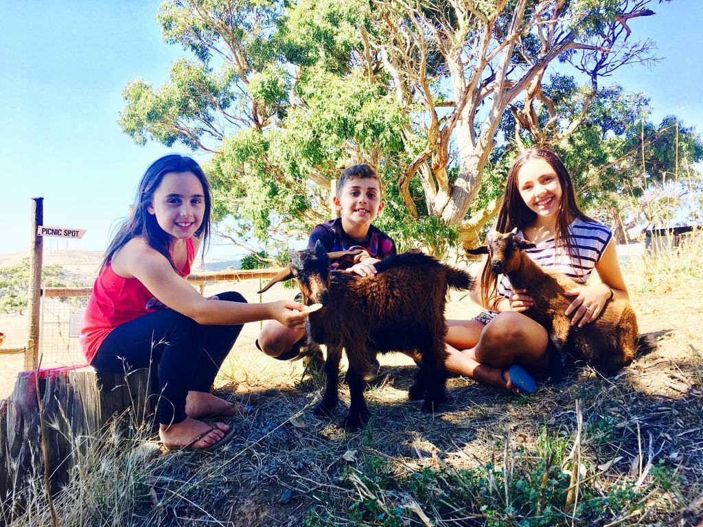 Morella Farmstay Cape Jervis Exteriér fotografie