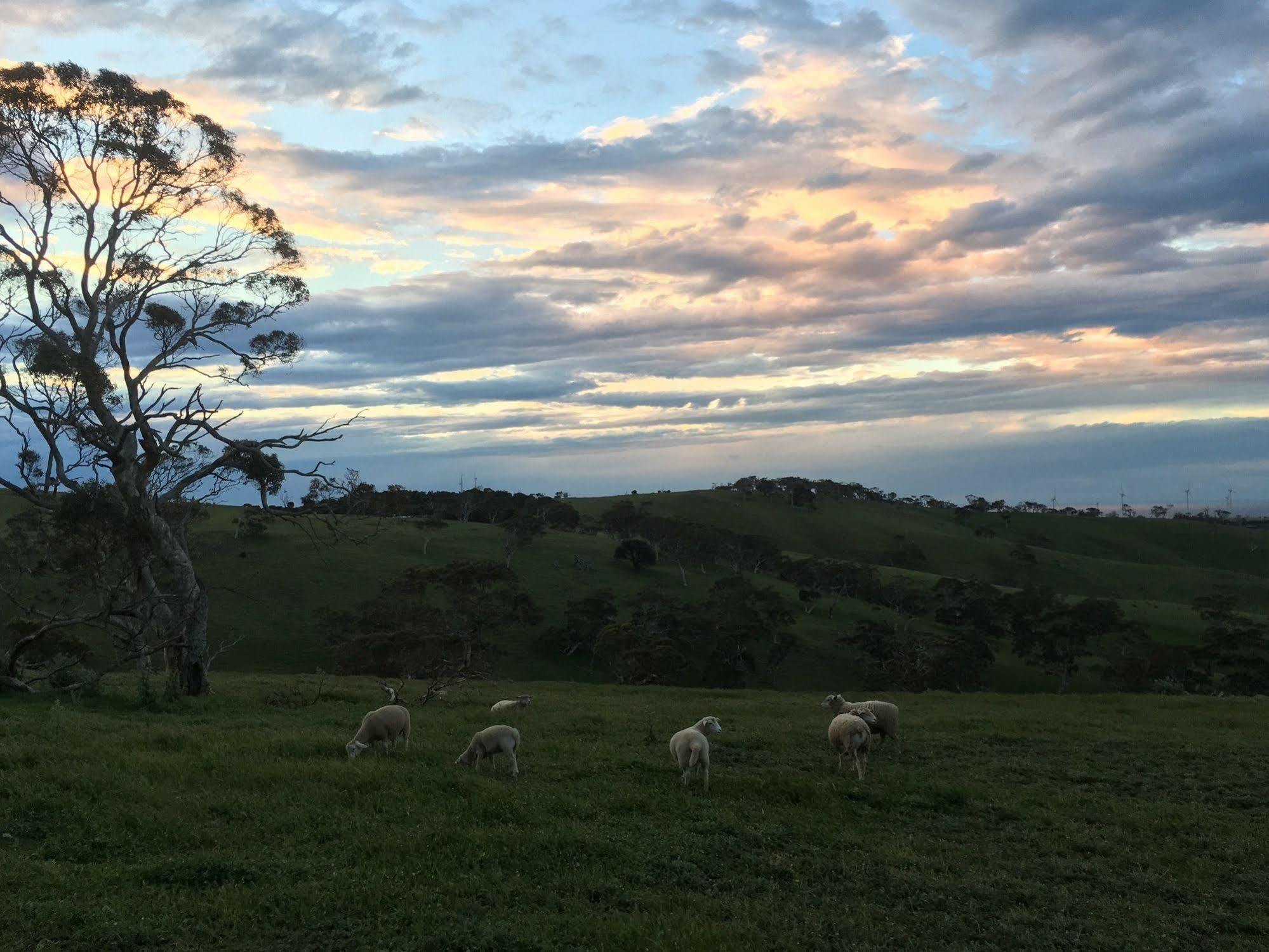 Morella Farmstay Cape Jervis Exteriér fotografie