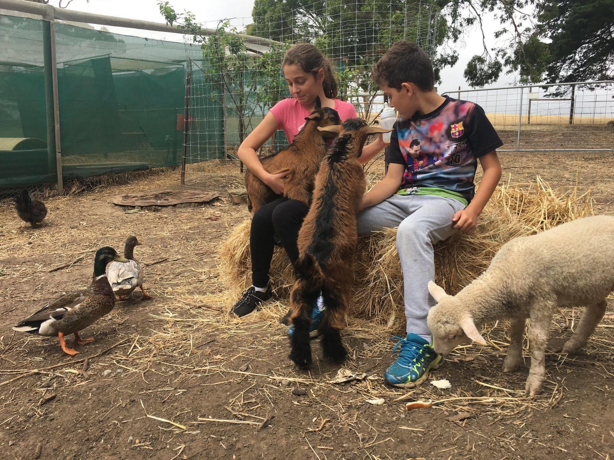 Morella Farmstay Cape Jervis Exteriér fotografie